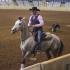Southern Equine Expo